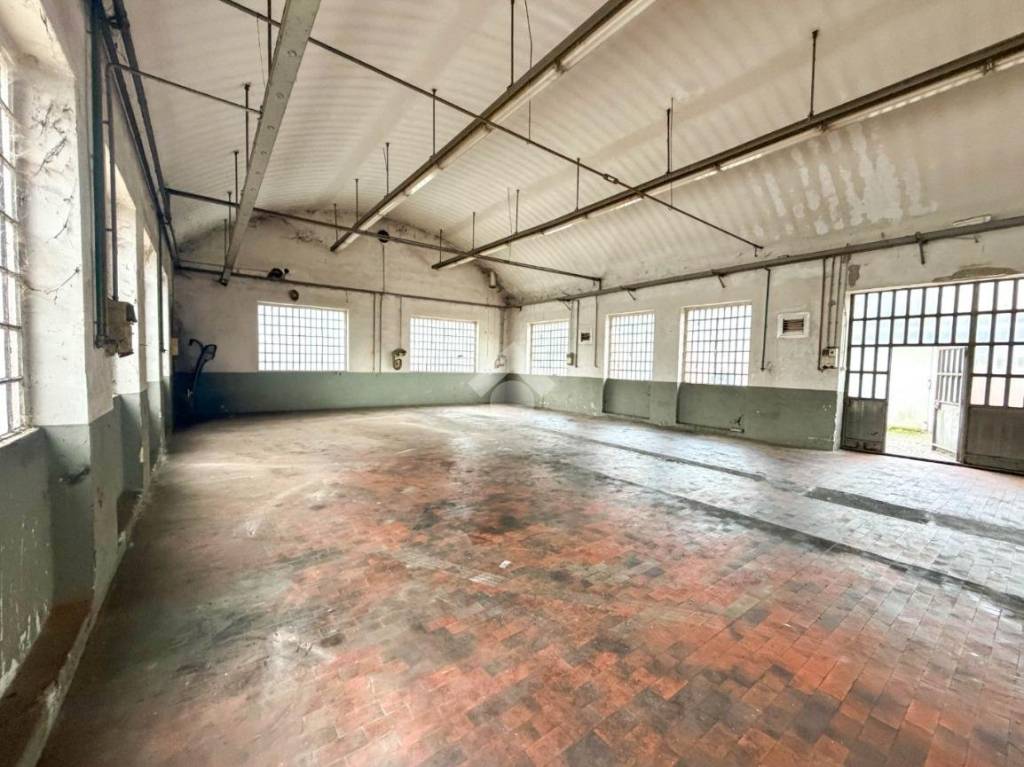 immagine annuncio 9 di 15