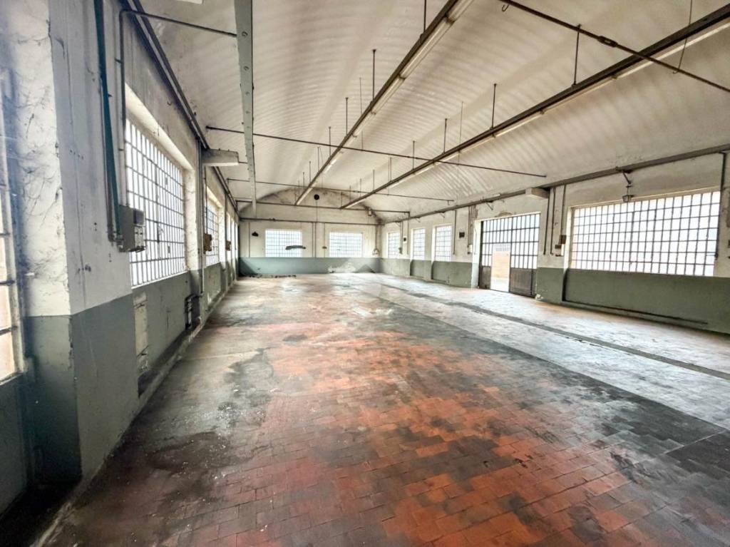 immagine annuncio 12 di 15