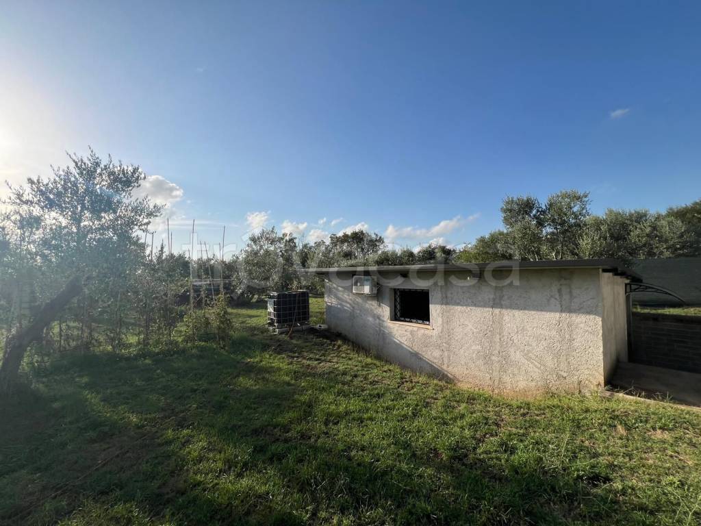 immagine annuncio 6 di 11