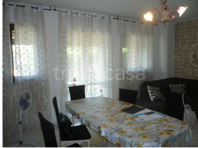 immagine annuncio 3 di 12