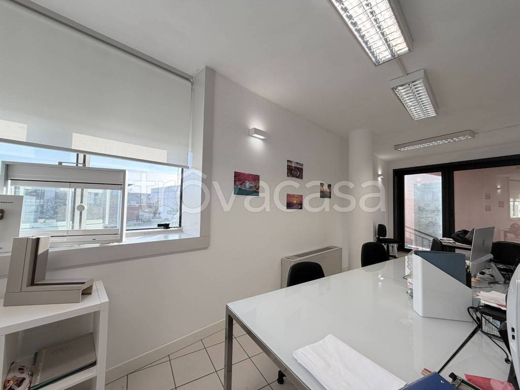 immagine annuncio 2 di 14