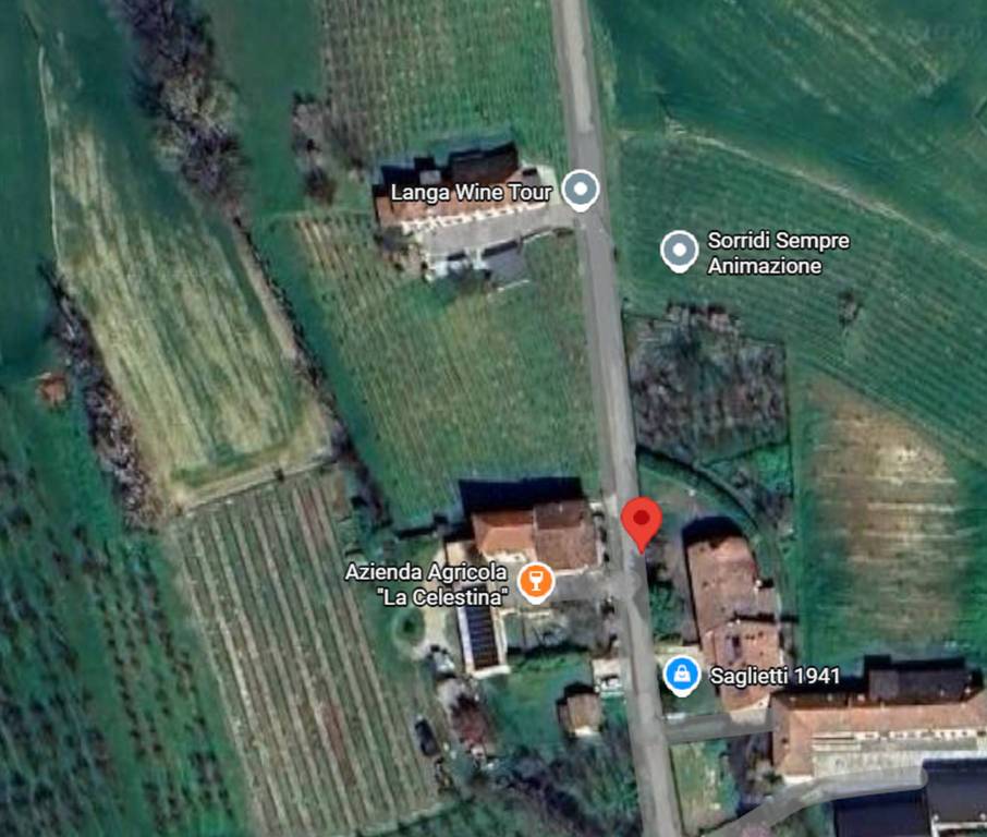 immagine annuncio 3 di 11