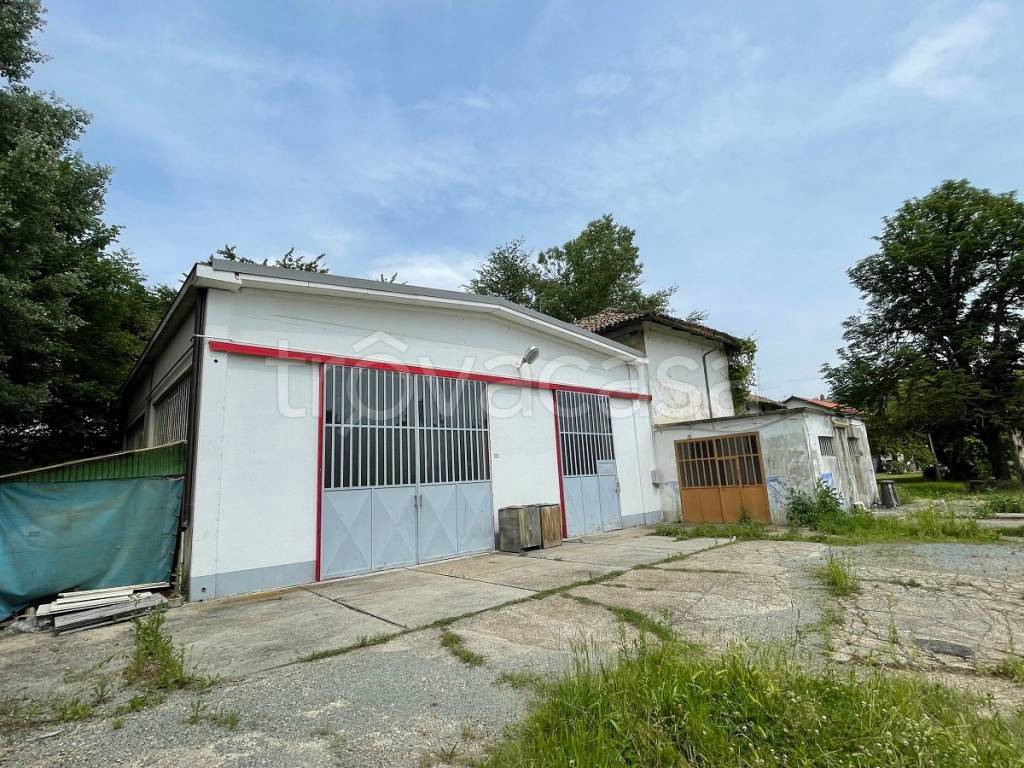 immagine annuncio 5 di 15