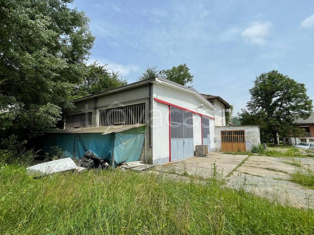 immagine annuncio 6 di 15