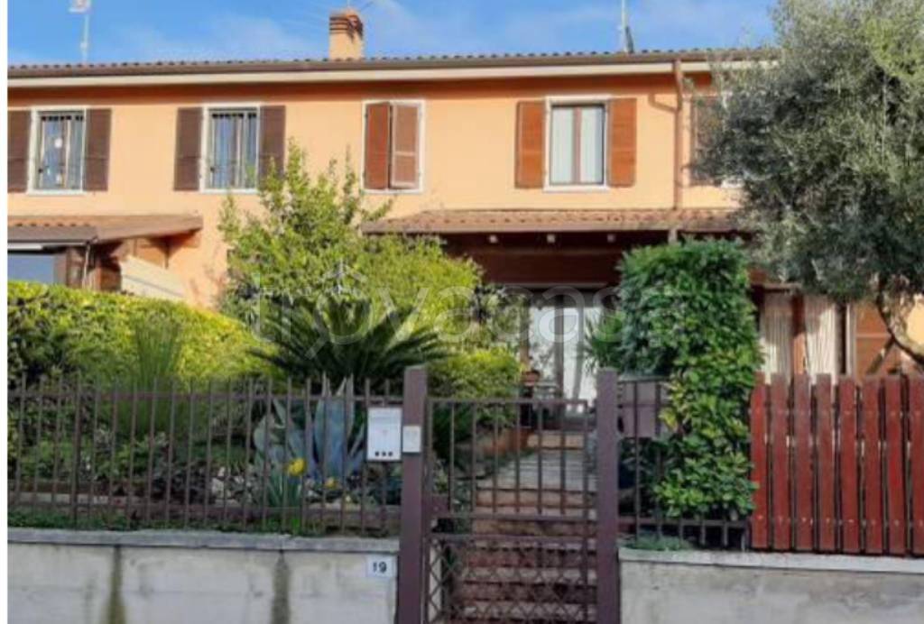 immagine annuncio 2 di 10