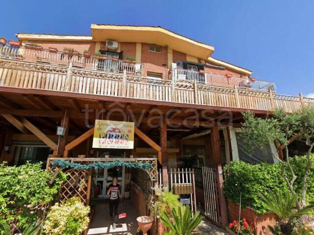 immagine annuncio 12 di 13