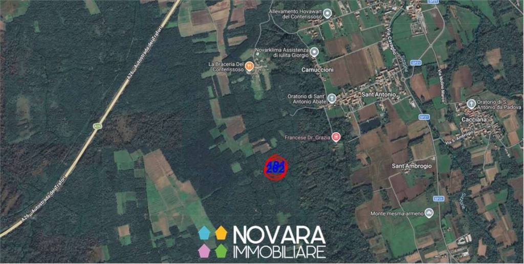 immagine annuncio 4 di 9