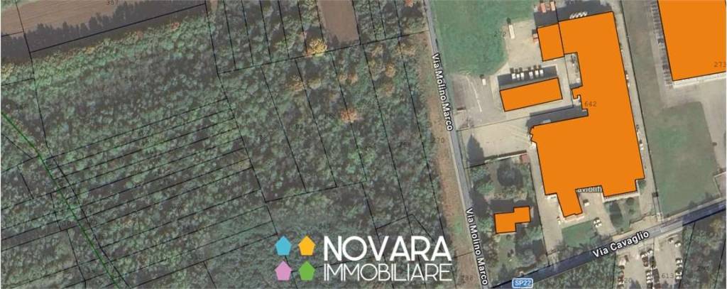 immagine annuncio 7 di 9