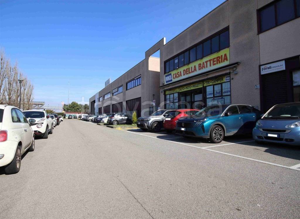 immagine annuncio 1 di 15