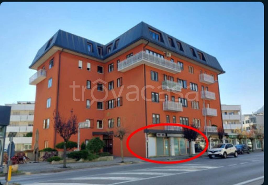 immagine annuncio 1 di 12