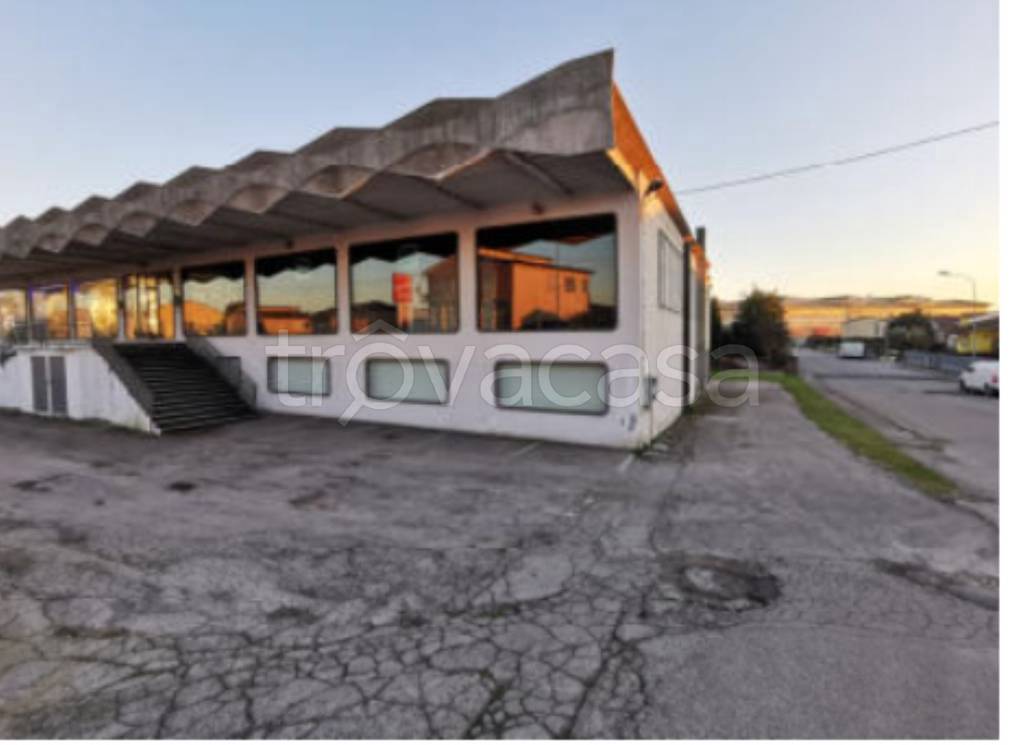 immagine annuncio 2 di 9