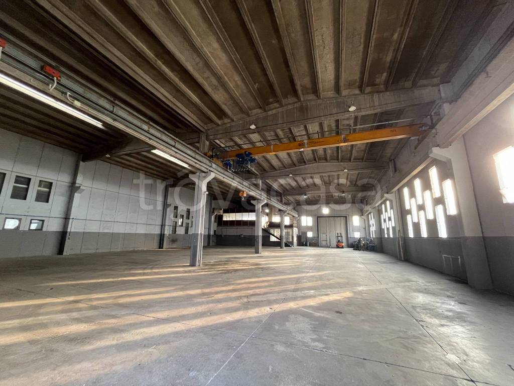 immagine annuncio 13 di 14