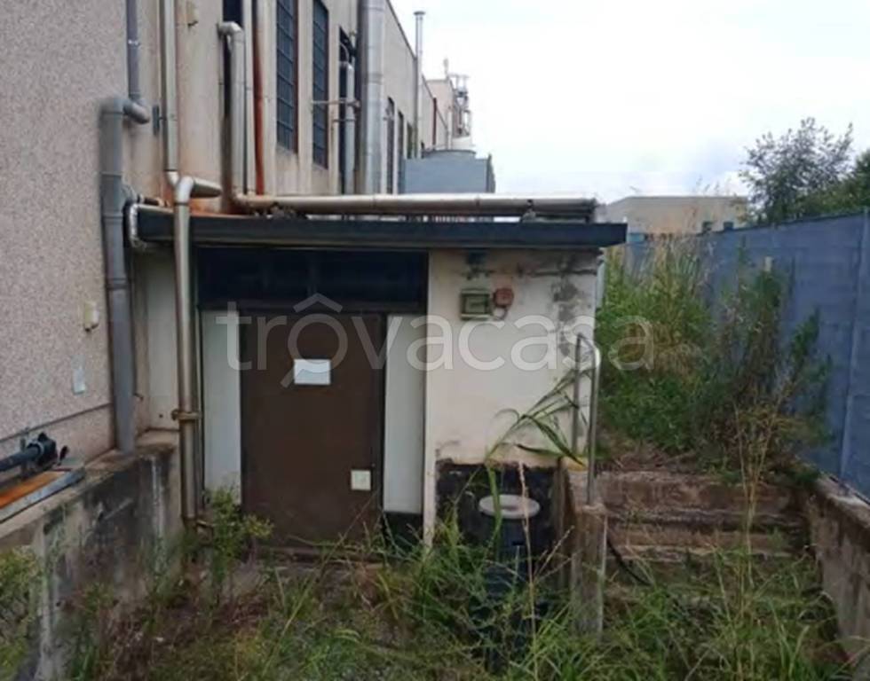 immagine annuncio 1 di 11