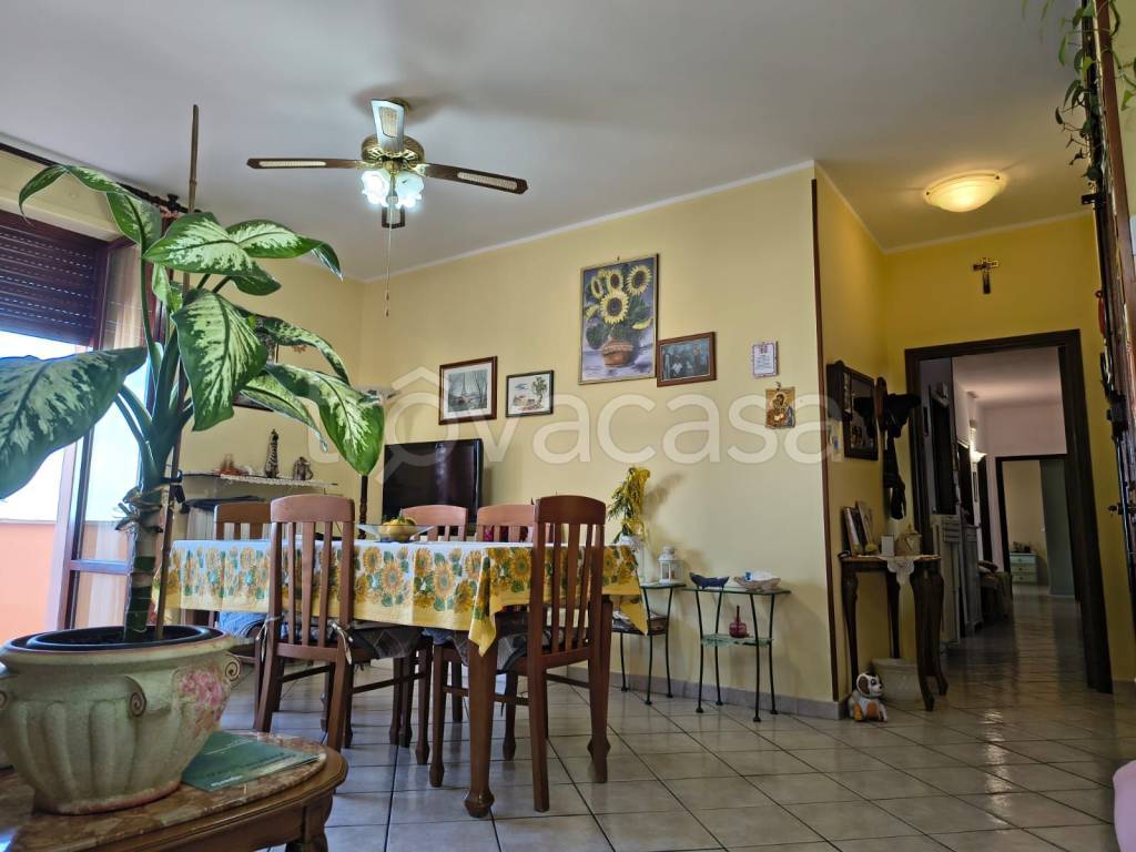 immagine annuncio 7 di 14