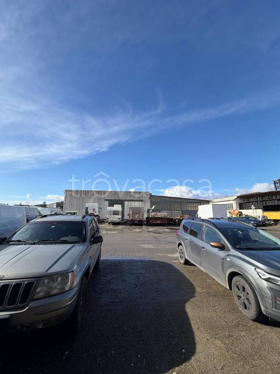 immagine annuncio 7 di 13