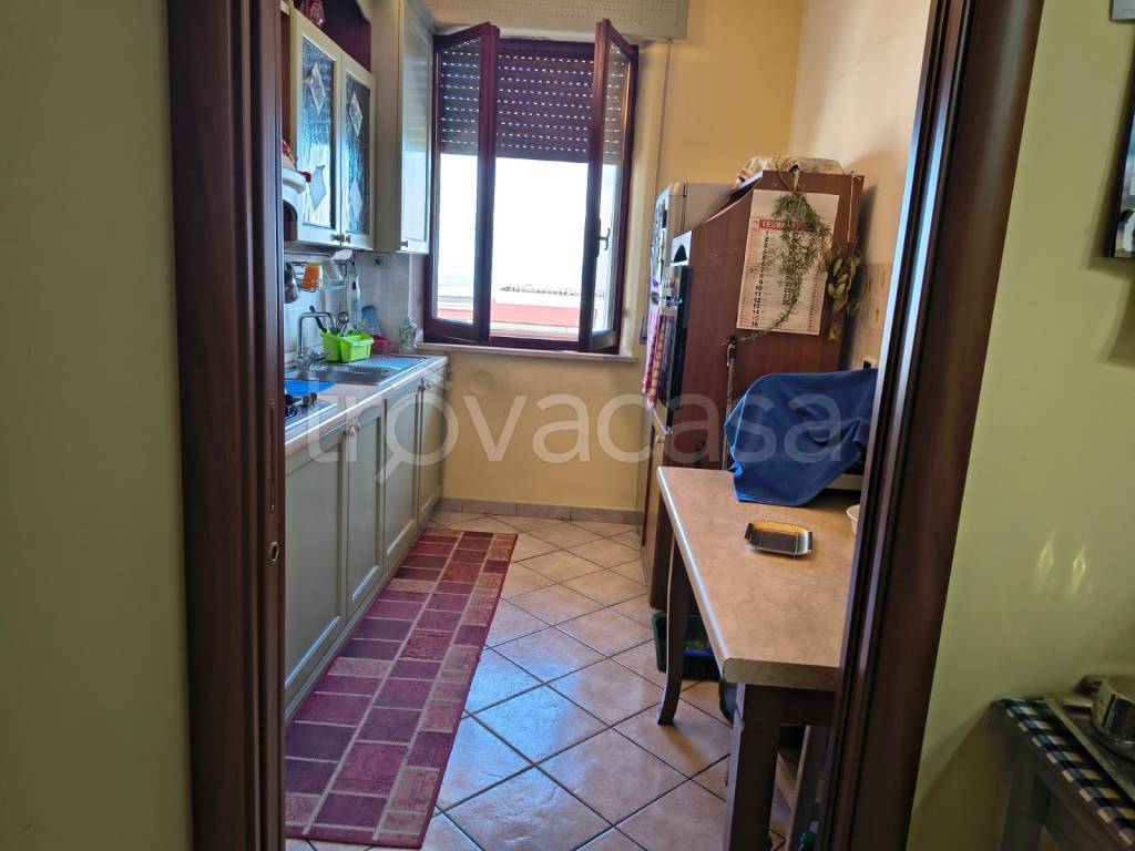 immagine annuncio 5 di 14