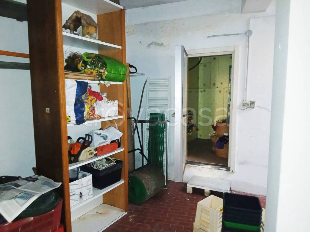 immagine annuncio 9 di 13