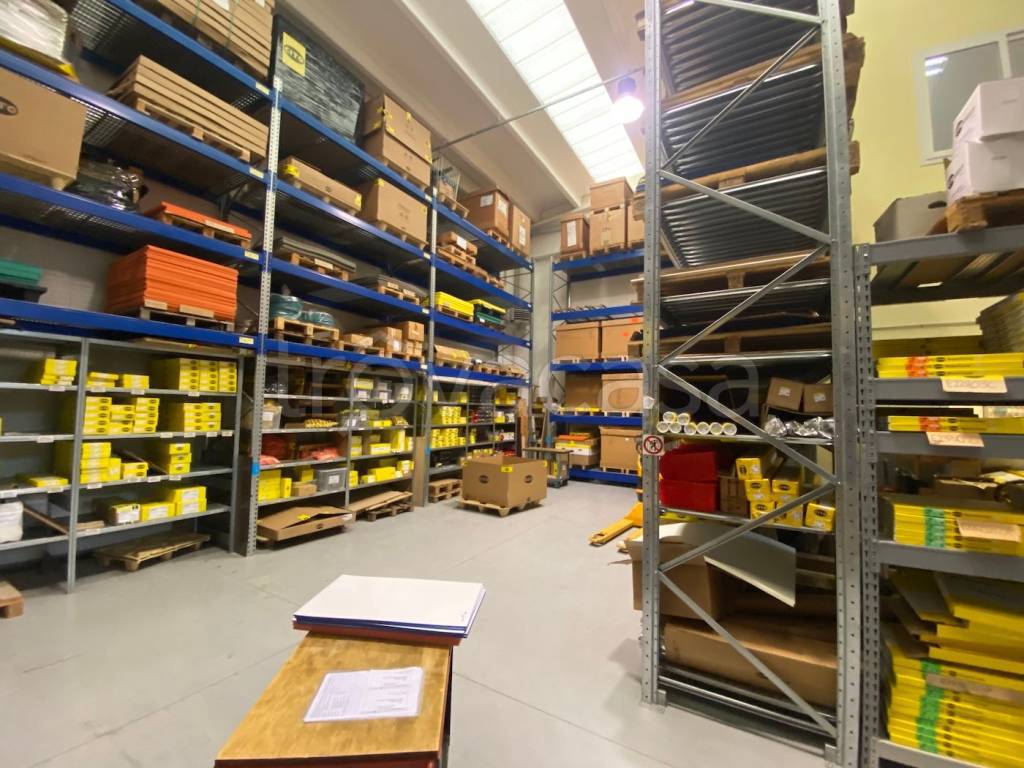 immagine annuncio 12 di 15