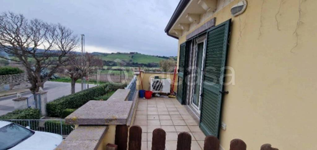 immagine annuncio 8 di 11