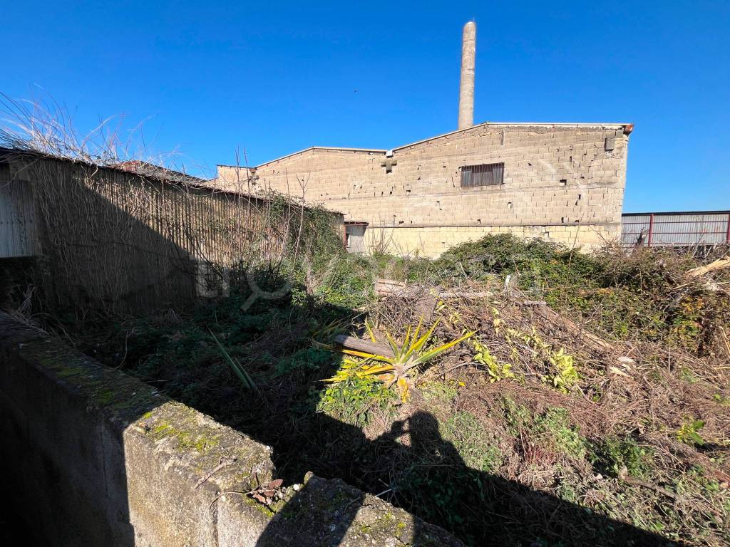 immagine annuncio 3 di 13