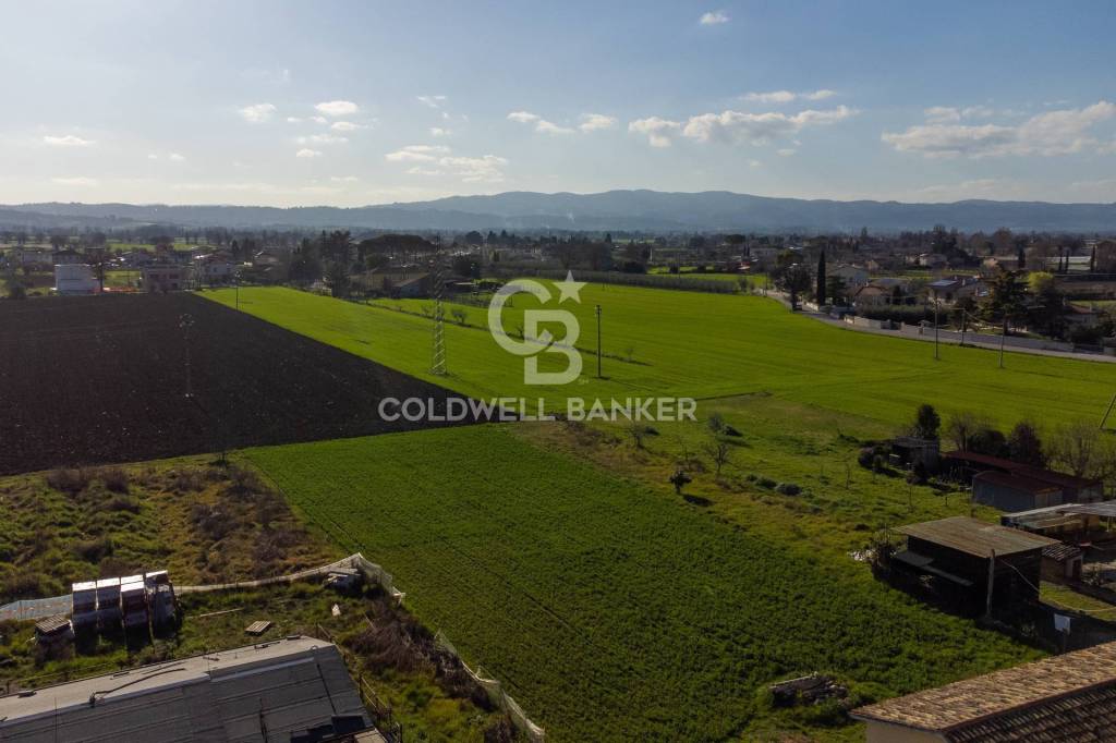 immagine annuncio 5 di 8