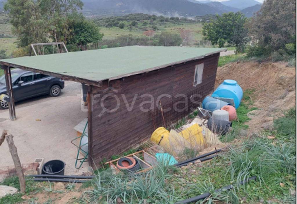 immagine annuncio 3 di 14