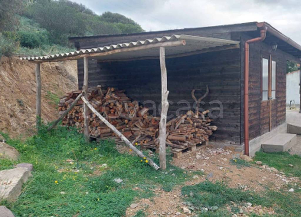 immagine annuncio 5 di 14