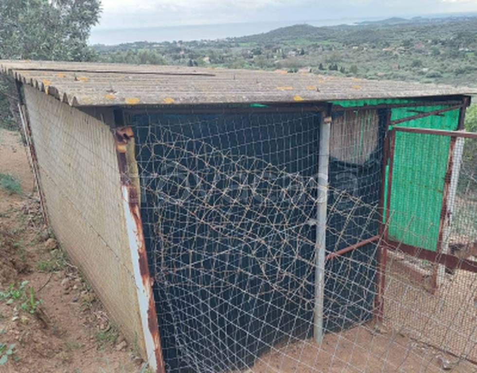 immagine annuncio 6 di 14