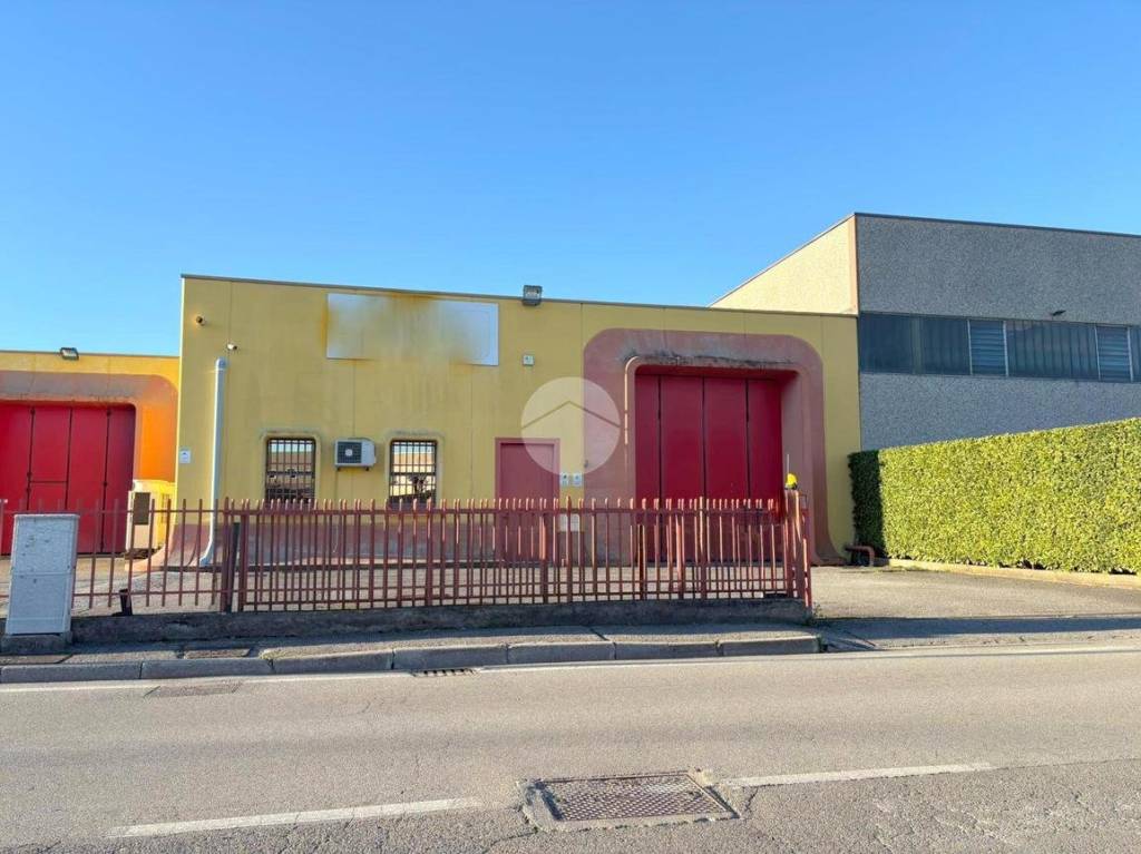 immagine annuncio 9 di 10