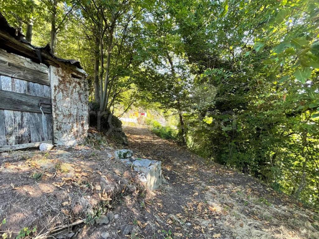 immagine annuncio 5 di 14