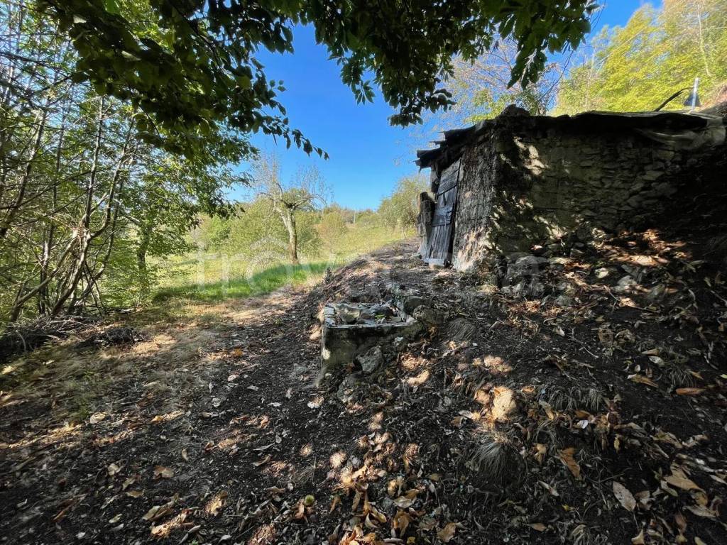 immagine annuncio 8 di 14