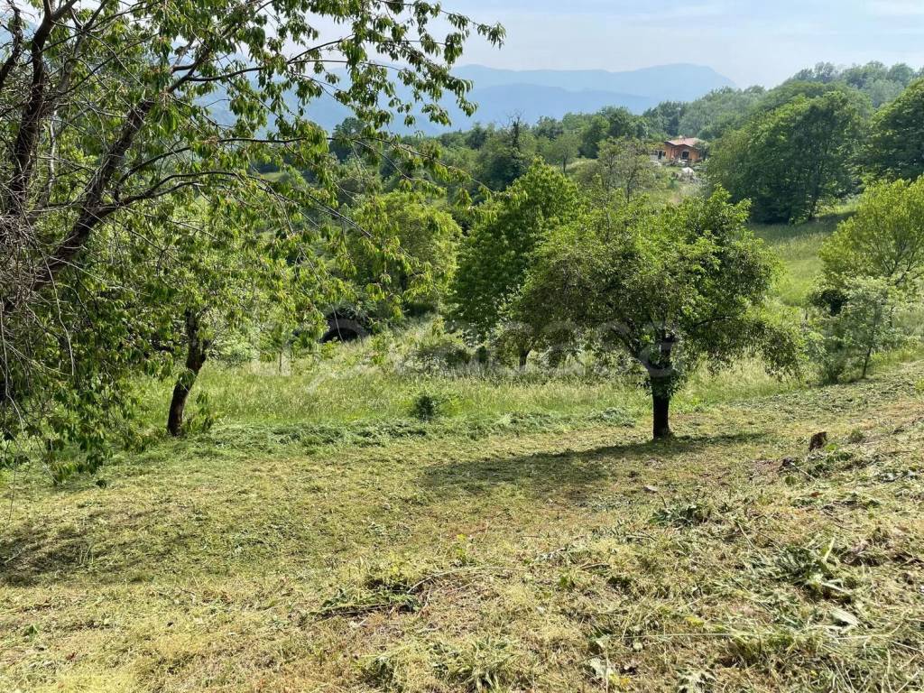 immagine annuncio 12 di 14