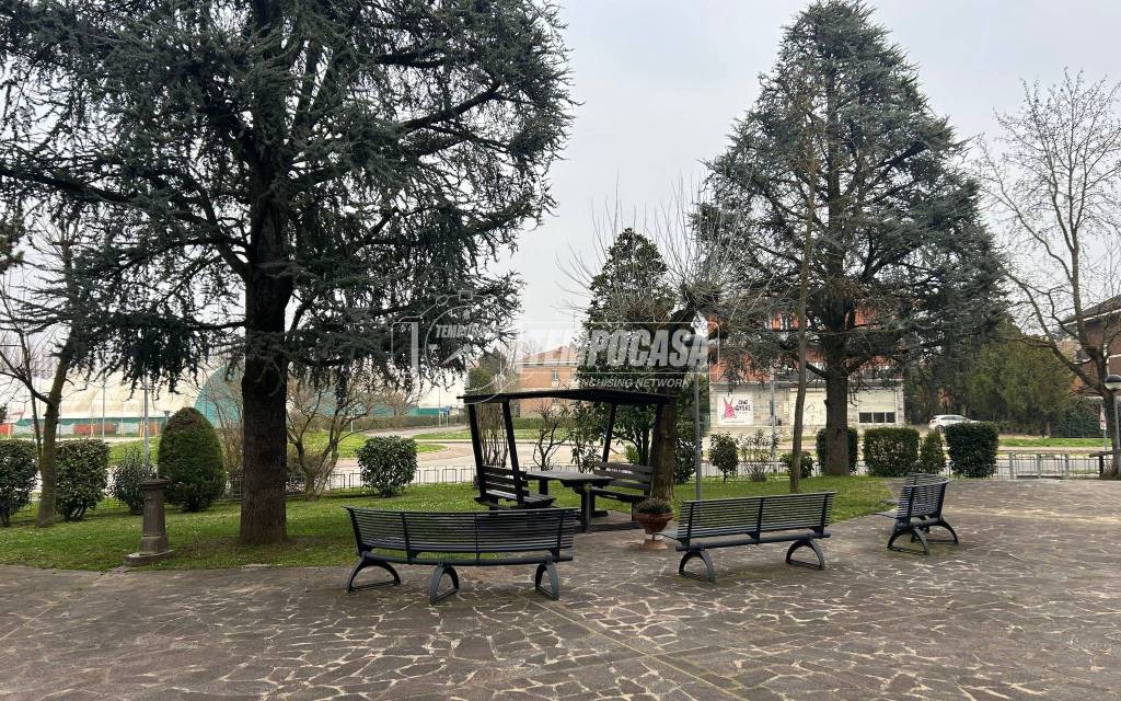 immagine annuncio 3 di 8