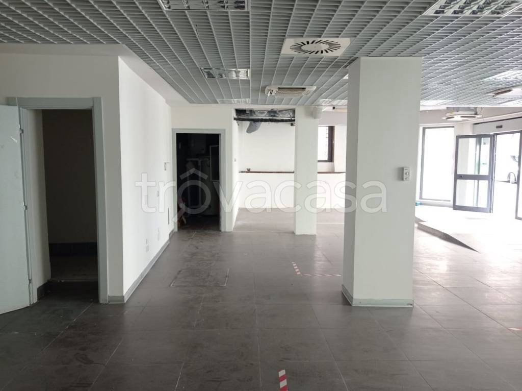 immagine annuncio 3 di 7