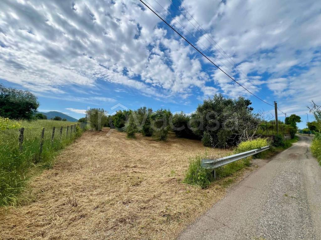 immagine annuncio 1 di 9