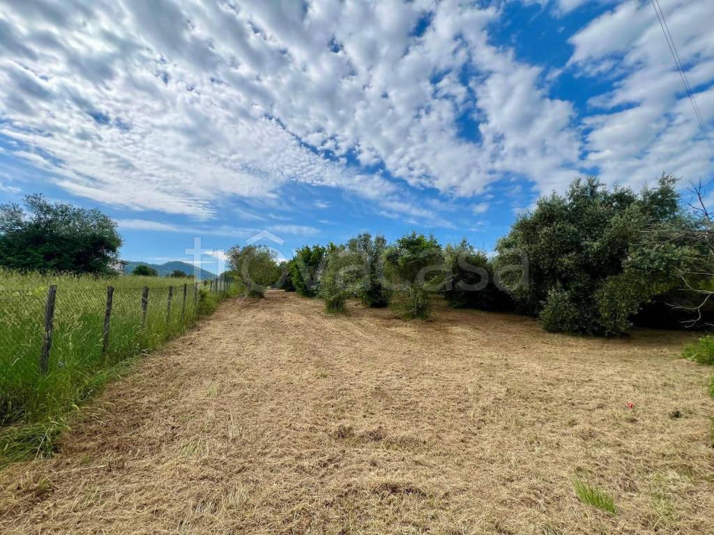 immagine annuncio 5 di 9