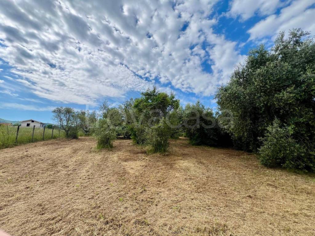 immagine annuncio 7 di 9