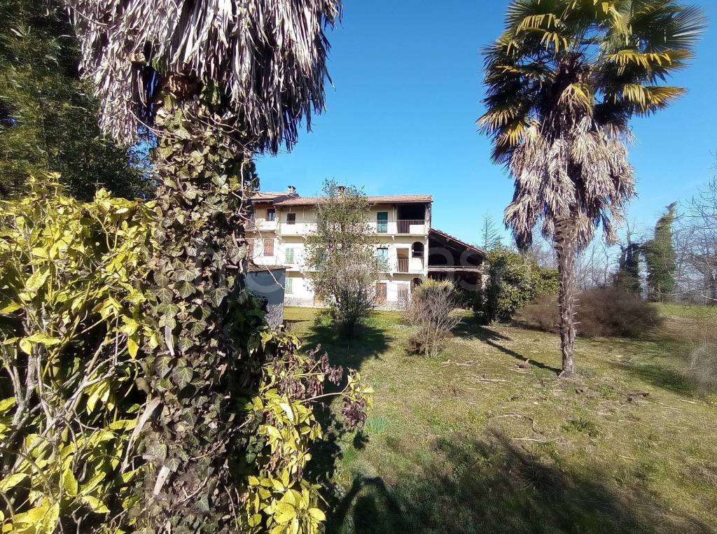 immagine annuncio 1 di 6