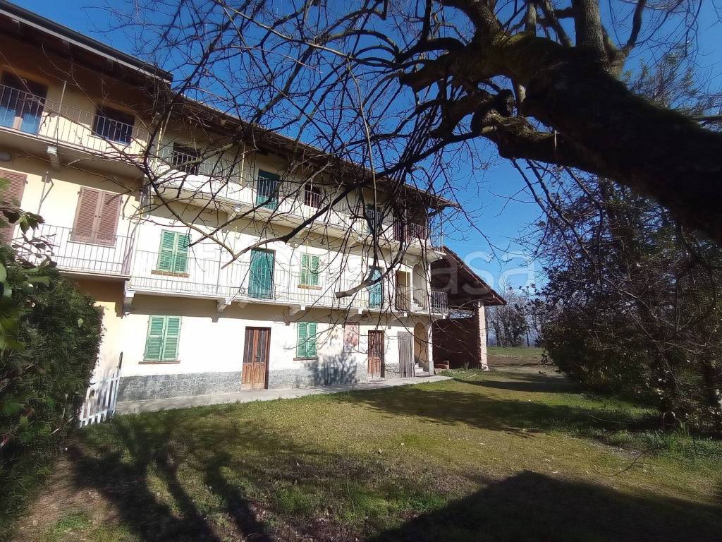 immagine annuncio 4 di 6