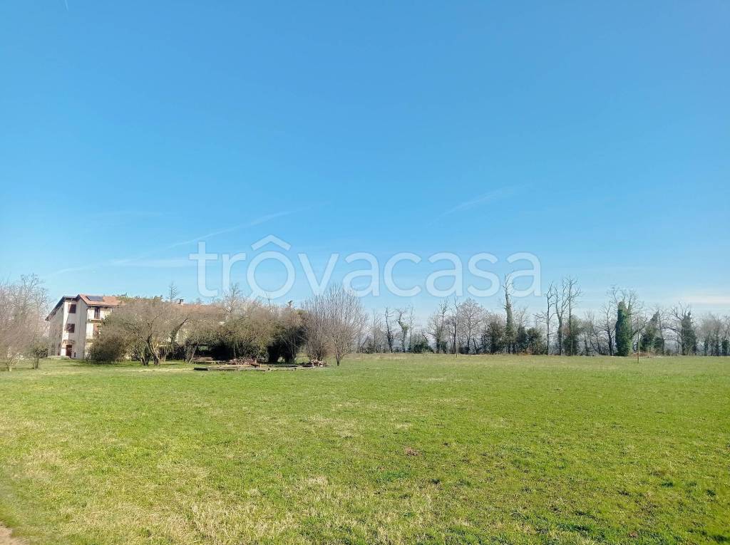 immagine annuncio 5 di 6