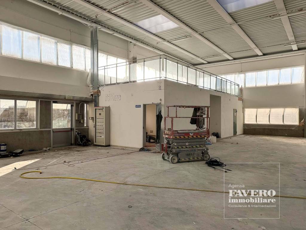 immagine annuncio 11 di 15