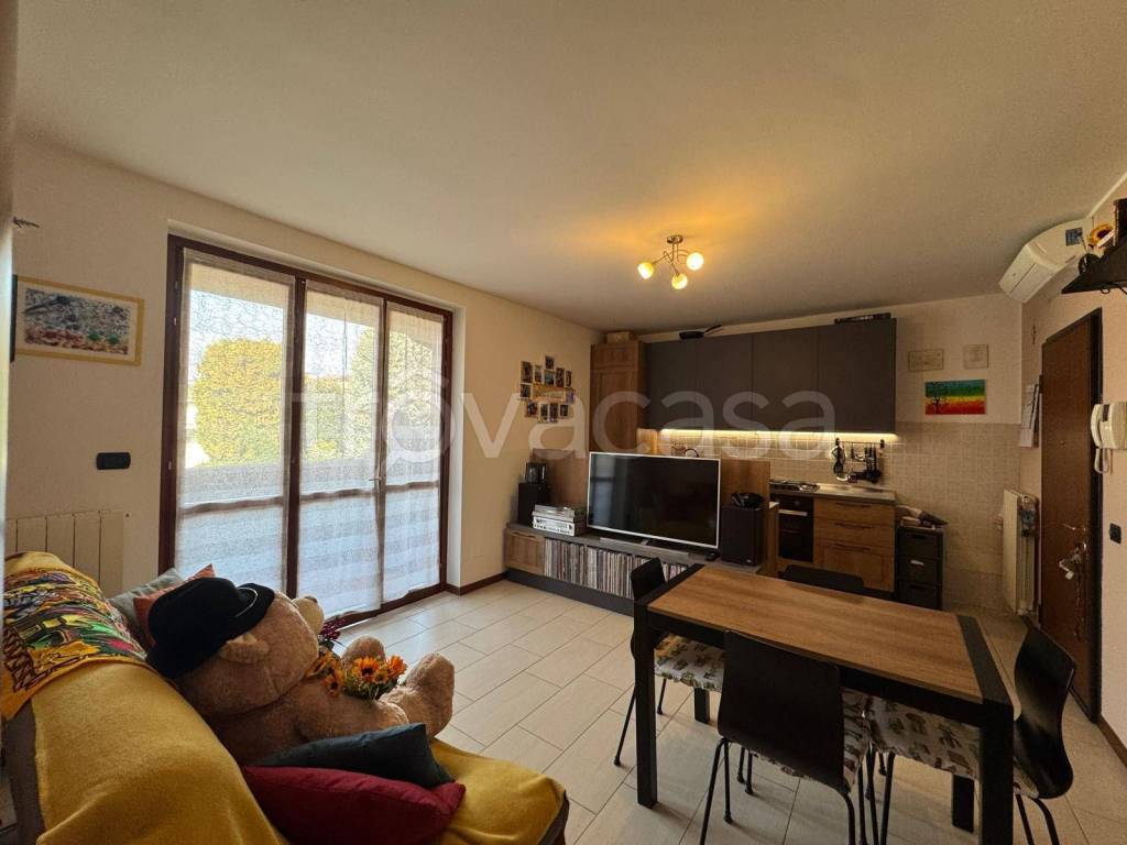 immagine annuncio 3 di 12