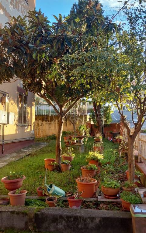 immagine annuncio 7 di 13