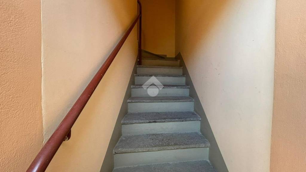 immagine annuncio 12 di 14