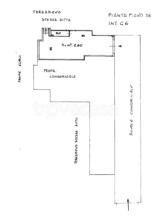 immagine annuncio 12 di 13