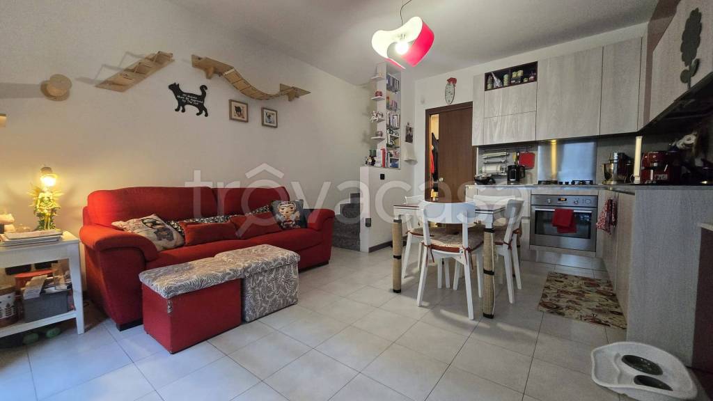 immagine annuncio 10 di 15