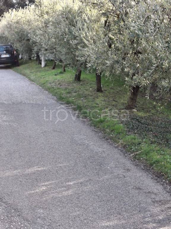 immagine annuncio 5 di 12