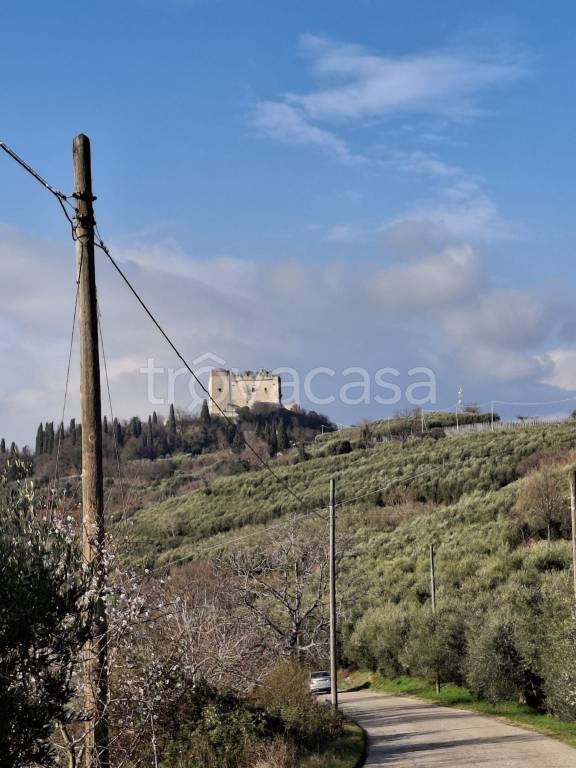 immagine annuncio 9 di 12