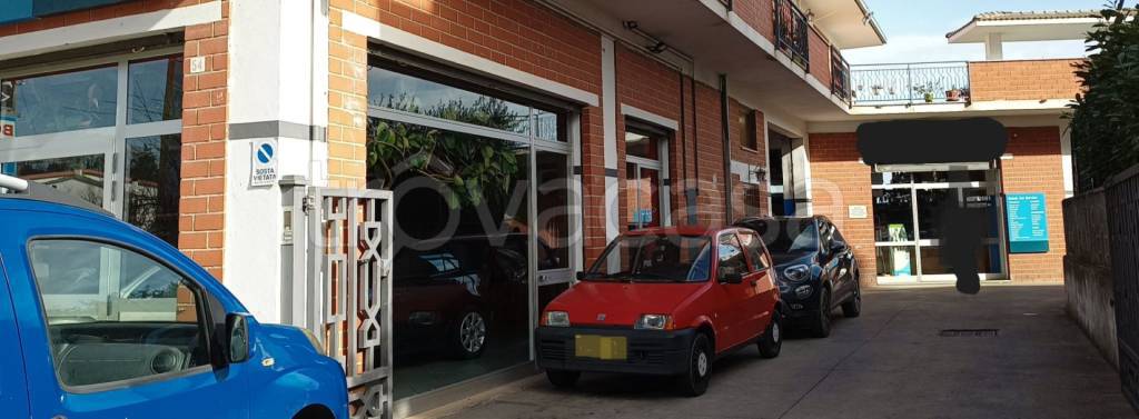 immagine annuncio 1 di 11