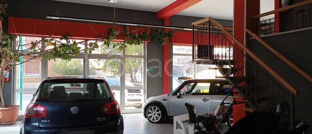 immagine annuncio 2 di 11